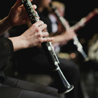 Feature: The HHH Cross Campus Wind Ensemble