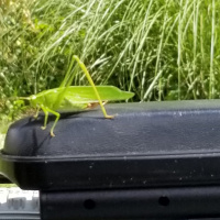 Under the sea sensory learning ( communication and emotions). 