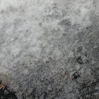 (10 activities for praticing math and other learning)