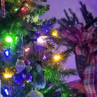 Year in review, and holiday fun! 