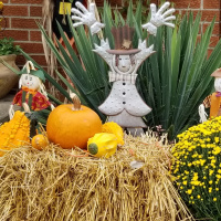 Creative education for social engagement! (while socially distanced).