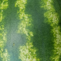 What learning can look like!