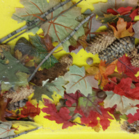 Invitations to Play, Learn and Grow! (Cause and Effect Learning)