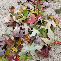 Creating invitations for learning and skill building.