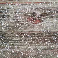 Encouraging kids of all ages to use their unique abilities to leave a positive impact on the world. 