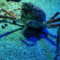 Relationships, socialization, and hands on learning with Silly monsters and virtual learning.