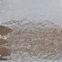 Pratice building language as you explore space. 