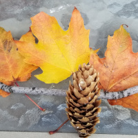 Robots and Silly Monster! (Unique abilities Confidence and grit!)