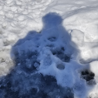 Teaching kids, that by including Different shapes and colors they can make beautiful art! 