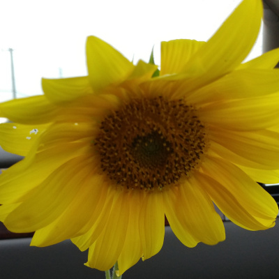 Invitations To Play - Learn - Grow!