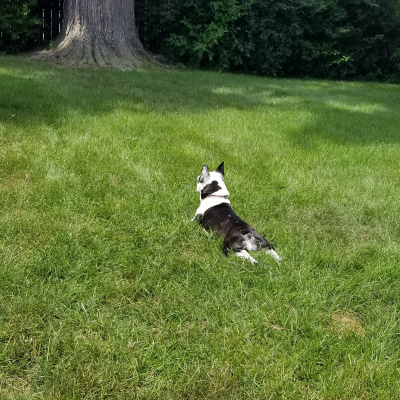 Invitations To Play - Learn - Grow!