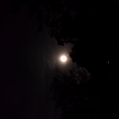 Invitations To Play - Learn - Grow!