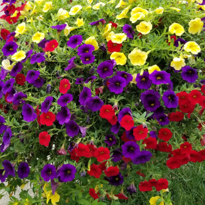 Invitations To Play - Learn - Grow!