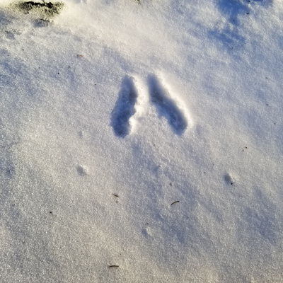 Invitations To Play - Learn - Grow!