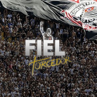 Uma análise do Fiel Torcedor. Como está e qual caminho deve seguir.