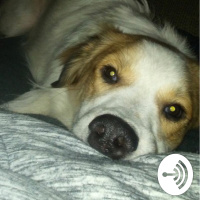 WE WELCOME YOU TO OUR COMMUNITY !