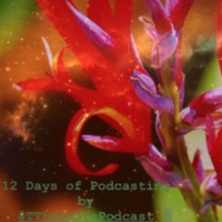 Podmas #2 - What’s on my Timelines