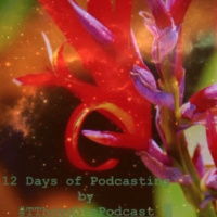 Podmas #5 - Who to Trust and Who’s Watching You 