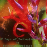 Podmas #9 - Yikes I thought I was still Recording but I wasn’t 