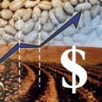 #292 Café, economia e finanças com Sandro Prado 07.08.2020