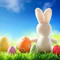 #580 OVOS DE PÁSCOA: o doce com um preço salgado