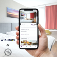 Sapphire Stein: Wishbox  Guest Focus