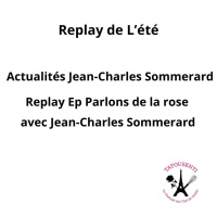Replay Eté 2025 avec Jean-Charles Sommerard