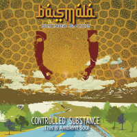 Salt Instrumental: Controlled Substance (Limited Series)