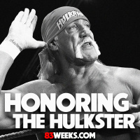 Episode 385 - Honoring The Hulkster