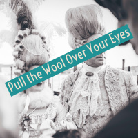 # 6 Pull The Wool Over Your Eyes