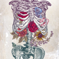 Générique corps et ames