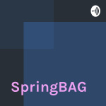 Springbag