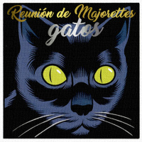 48 - Gatos