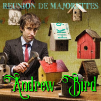 50 - Andrew Bird