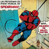 28 - Spiderman