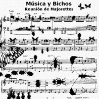 14 - Bichos