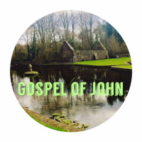 John Series: Perfect Pardon