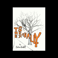 The Sky, Finally - Part 11 - In Between Days OR Almost There