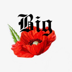 Big Poppy Podcast