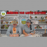 Row by Row Episode 241: Spring Gardening Tips