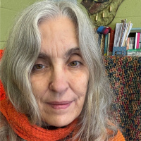 asking the question - embracing the answer. a wisdom circle satsang with Swamini Shraddhananda Saraswati 03022025