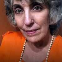 Pancha Kosha. The Five Sheaths of Experience. Wisdom Satsang with Swamini Shraddhananda. 12/29/19