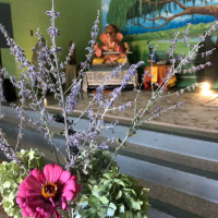 Contentment and Personal Work. A Wisdom Circle with Sudha Mataji 8/11/19