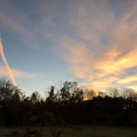 Yoga vyavasthiti. Steadfastness in Yoga. A Wisdom Circle Satsang with Sudha Mataji. 11/4/18