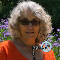 The Value of Sound, Silence,  Practice. A Wisdom Circle Satsang with Swamini Shraddhananda Saraswati 11262023