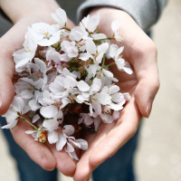 Balancing Care Giving with Self Care. A. 1st Saturday Community Service.