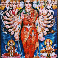 The bones, the integration and the intention. A Wisdom Circle Satsang with SwaminiJi 2/9/20