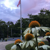 Sunday Wisdom Circle 8/5/18 Asteya. Non-Stealing.