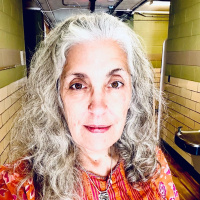 Envy, Impatience, and Harmfulness. A Wisdom Circle Satsang with Swamini Shraddhananda Saraswati. 050524