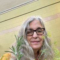 Choice. a Wisdom Circle Satsang with Swamini Shraddhananda Saraswati 11/3/24